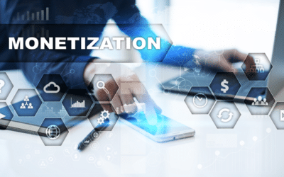 Website monetization process